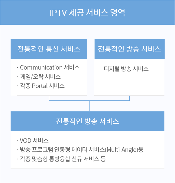 IPTV 제공 서비스 영역