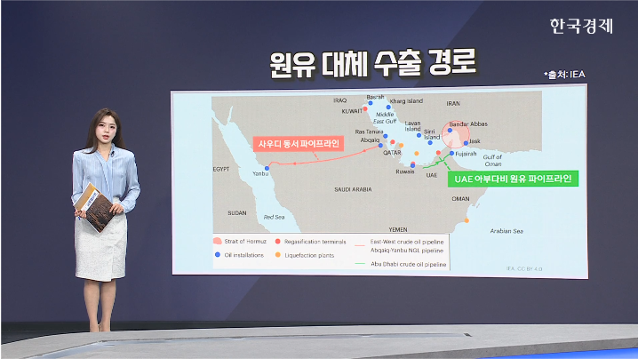IEA 사무총장 "에너지 공급 경로 다변화 필요" [글로벌 머니플로우]