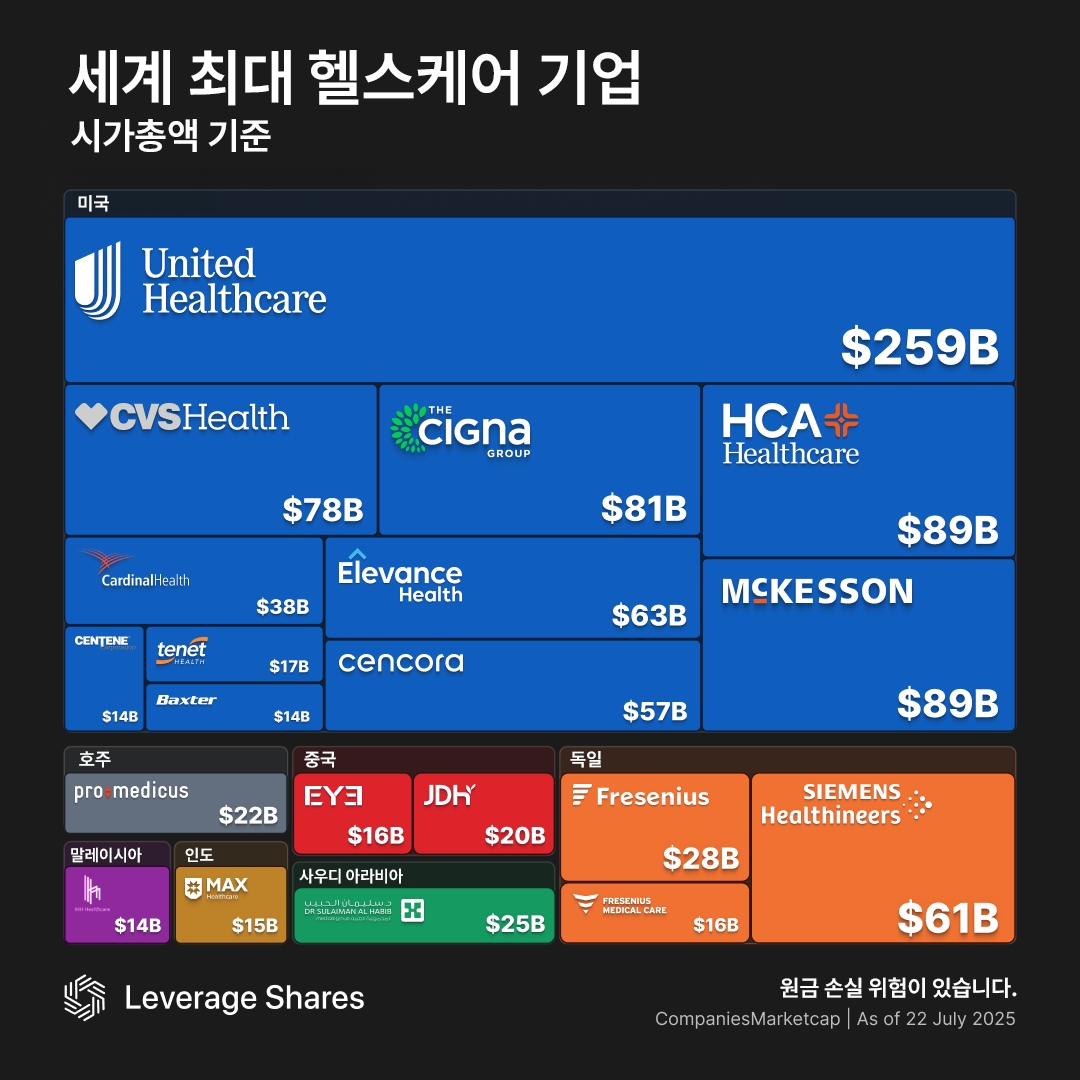순환매 장세, 바이오주 주목…세계 최대 헬스케어 기업은 [레버리지셰어즈 인포그래픽]