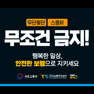 한국교통안전공단