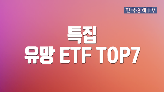 유망 ETF TOP7