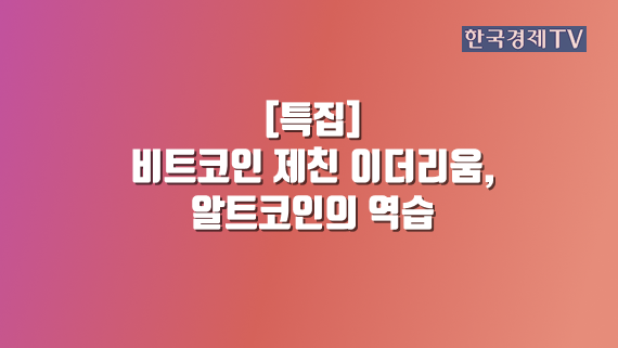비트코인 제친 이더리움, 알트코인의 역습