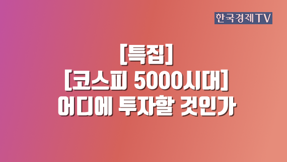 [코스피 5000시대] 어디에 투자할 것인가