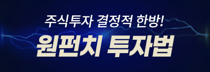 안인기 원펀치 투자법