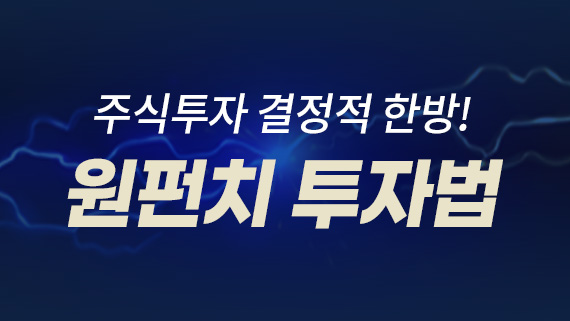 안인기 - 원펀치 투자법