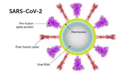 더 긴 COVID-19 치료는 새로운 코로나 돌연변이로 이어질 수 있습니다