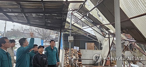 농식품부 폭설 피해 농가에 재해보험금 일부 선지급