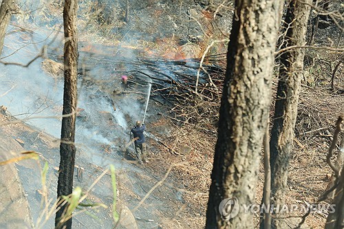 경상권 산불 확산에 소방·환경복원 관련株 강세…