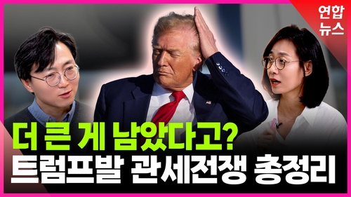 영상 트럼프발 관세전쟁진짜 목적은