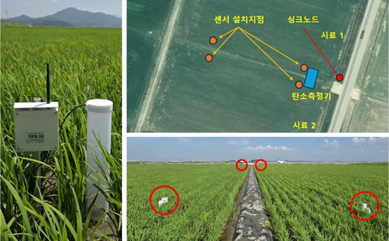 논 토양 내 양분 측정 센서
