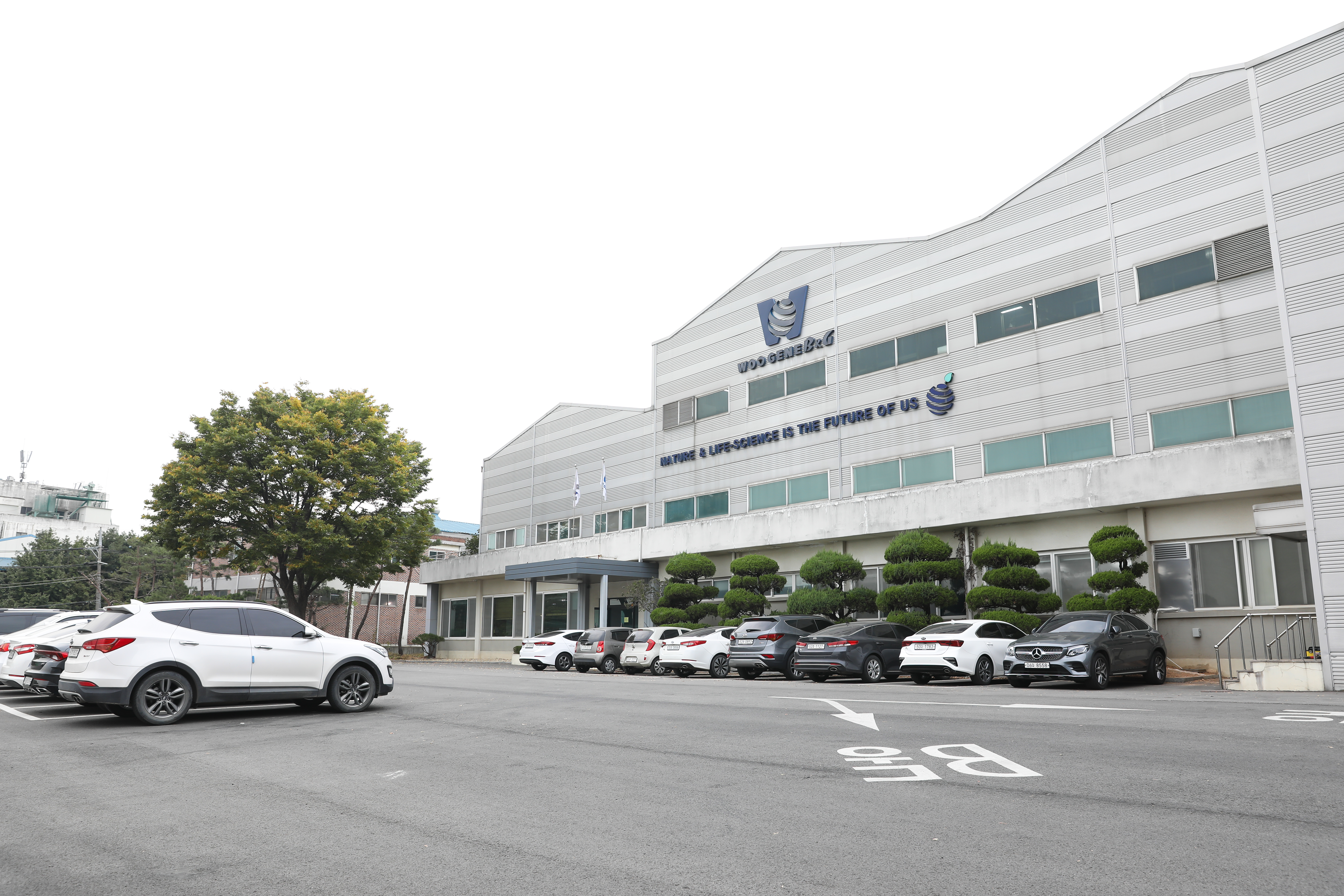 우진비앤지, 인체용 유산균 원료 국산화 성공…식약처 품목허가 획득