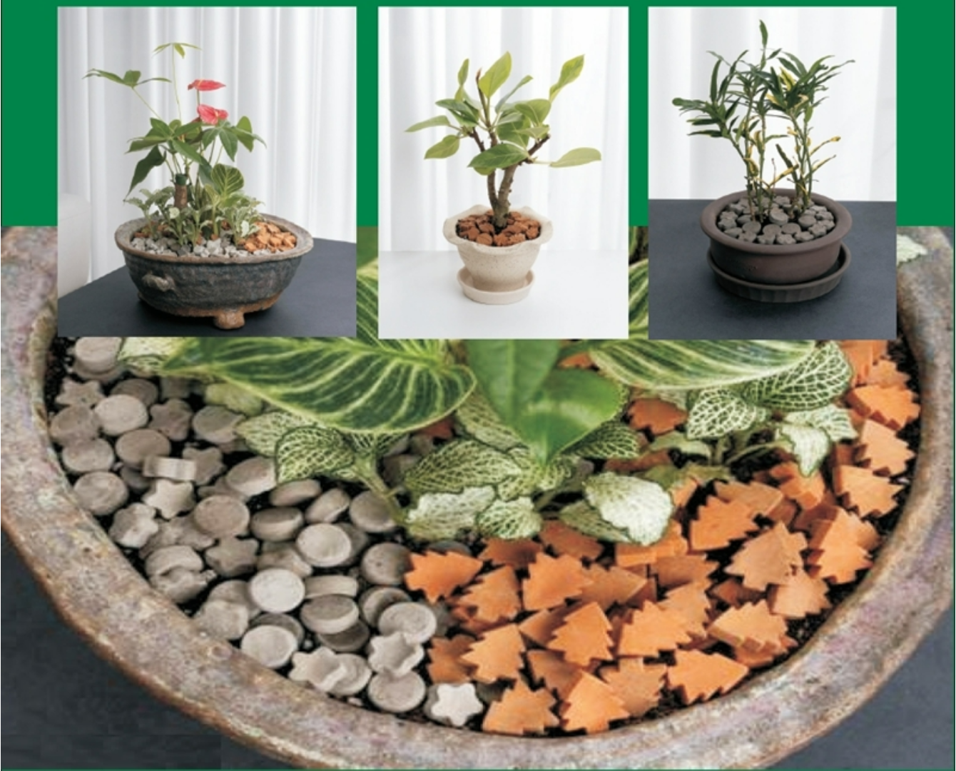 감귤박으로 만든 토양개량제.