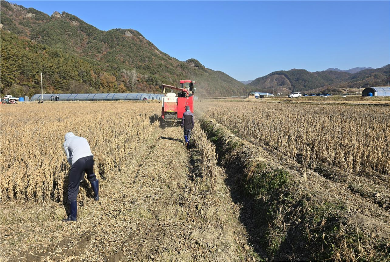국산콩 우수 생산단지 선발대회 현장평가.