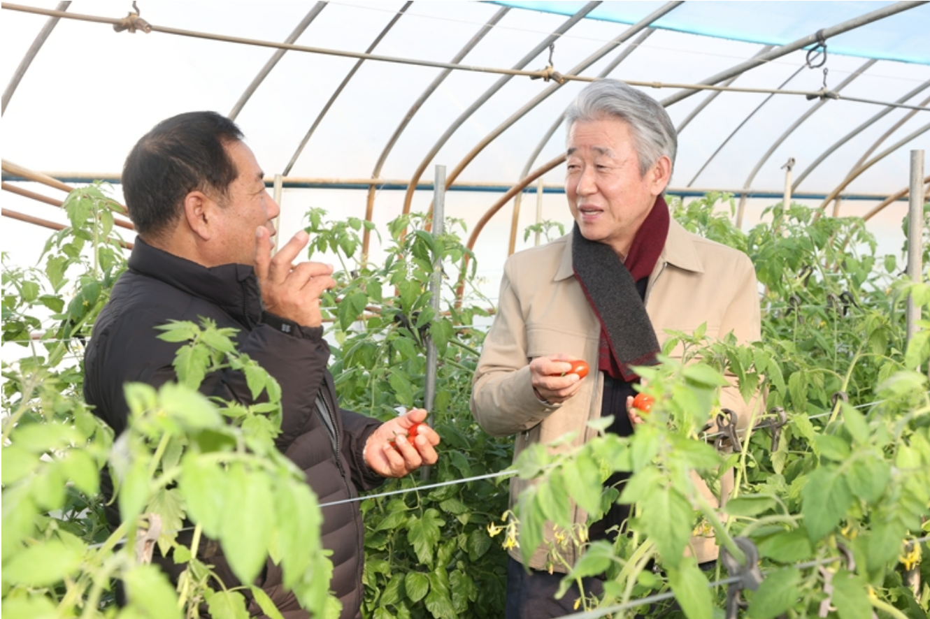 강호동 농협중앙회 회장이 5일 충남 논산 보급형 스마트팜 현장을 둘러보고 있다.