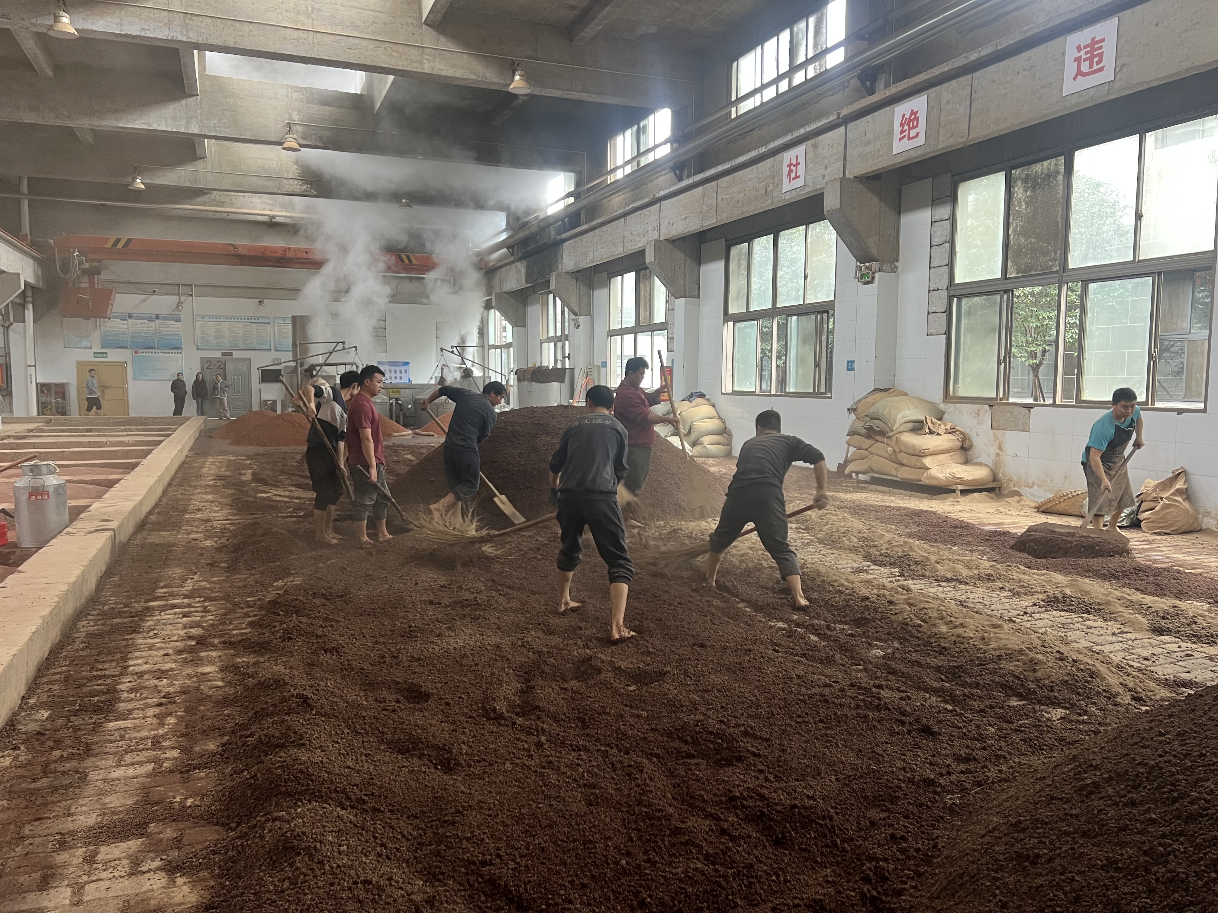 양조장 직원들이 백주(白酒)의 원료인 밀과 수수를 섞는 중이다.