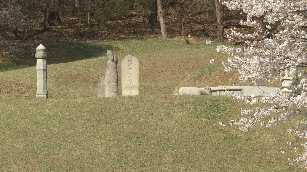 8일 방문한 서리풀2지구 내 단종의 장인 여산 송씨의 묘역 추정지