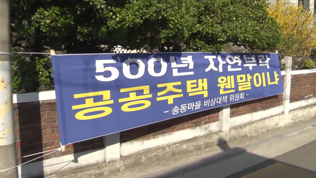 8일 방문한 송동마을 곳곳에 걸린 공공주택지구 지정 반대 현수막