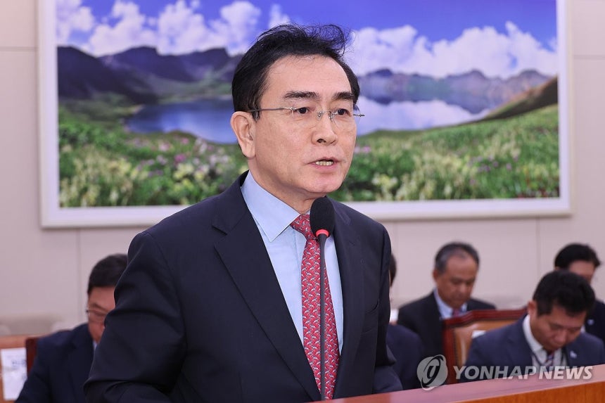 태영호 전 민주평통 사무처장. 사진=연합뉴스
