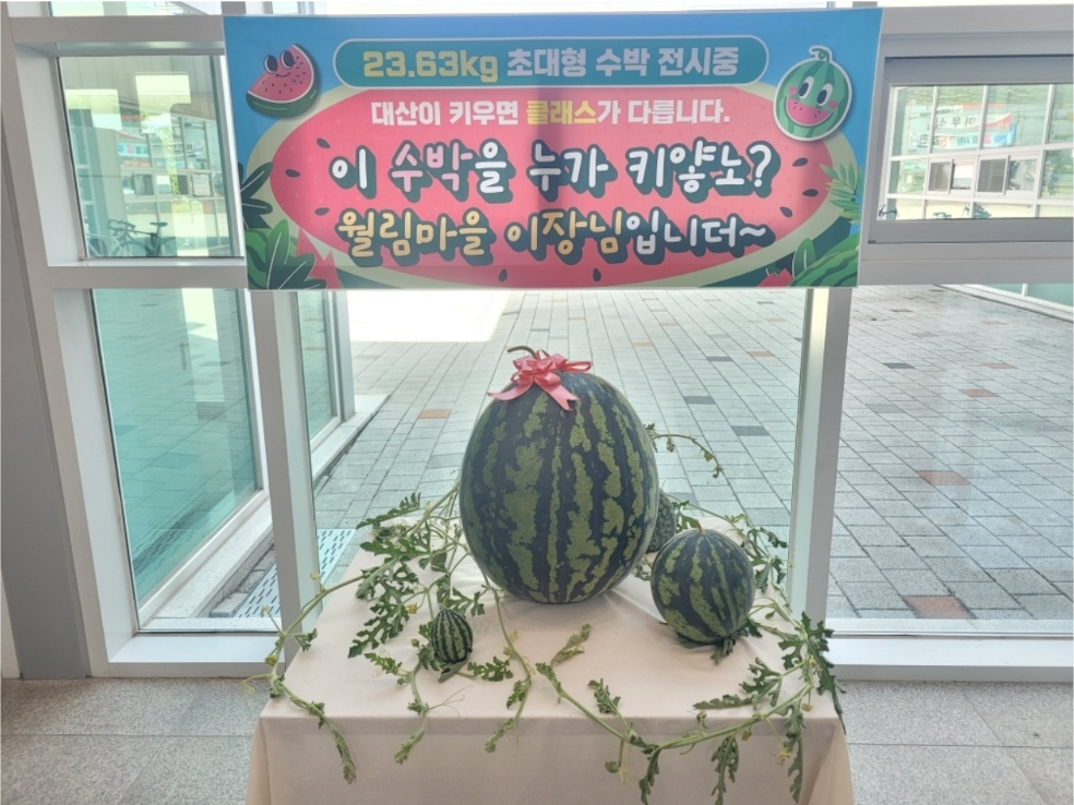 사진=창원시