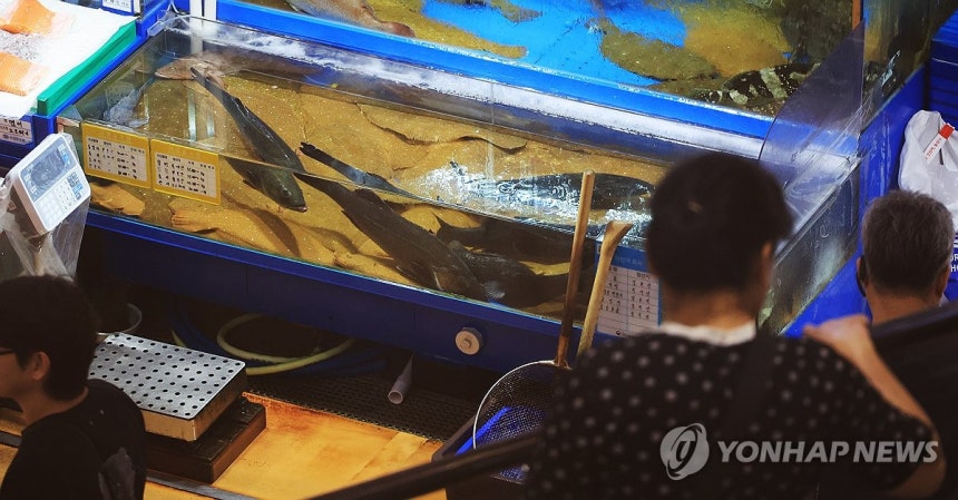 사진=연합뉴스