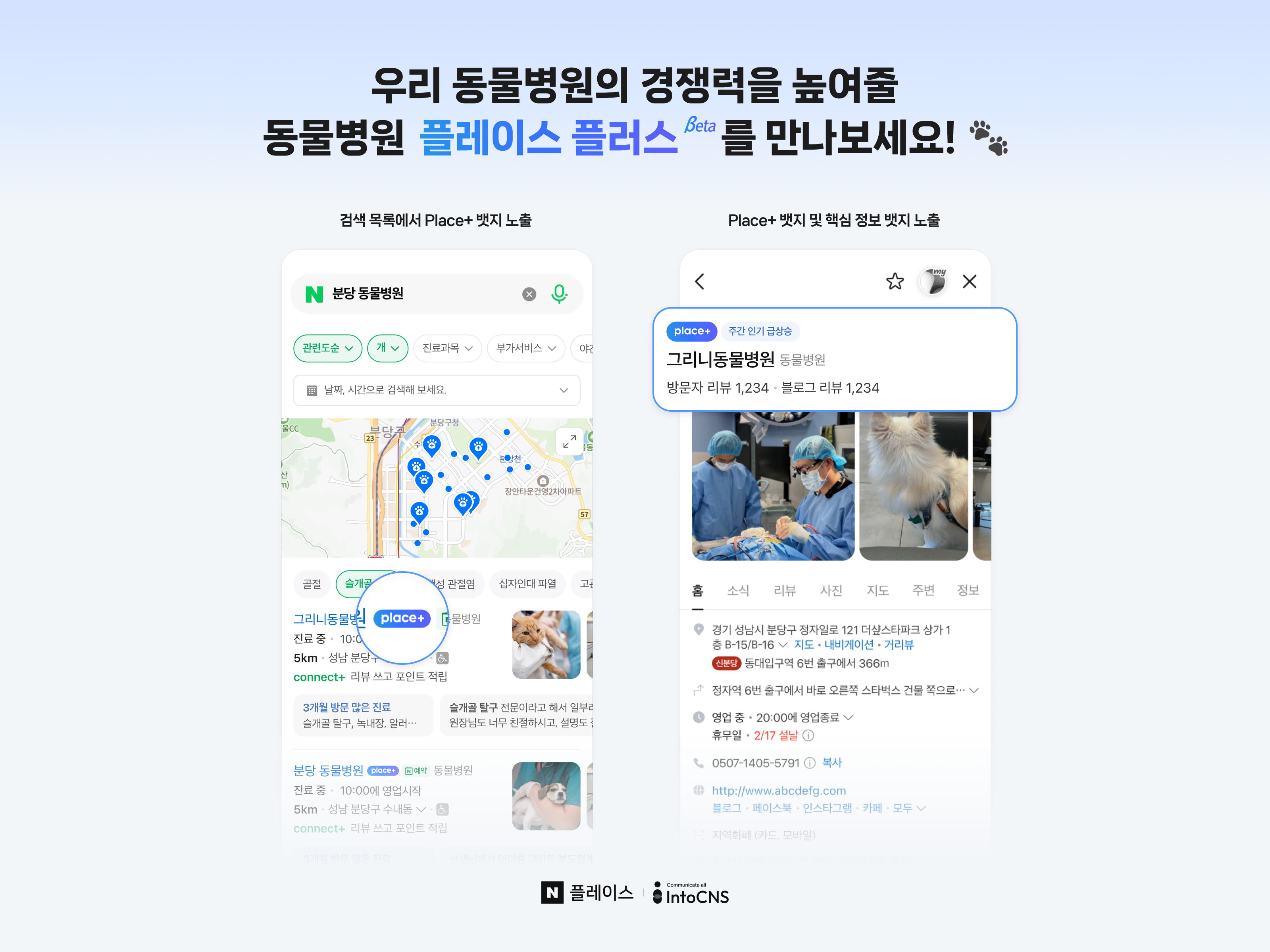 인투씨엔에스, "네이버 통해 반려동물 서비스 제공" - 뉴스 썸네일 이미지