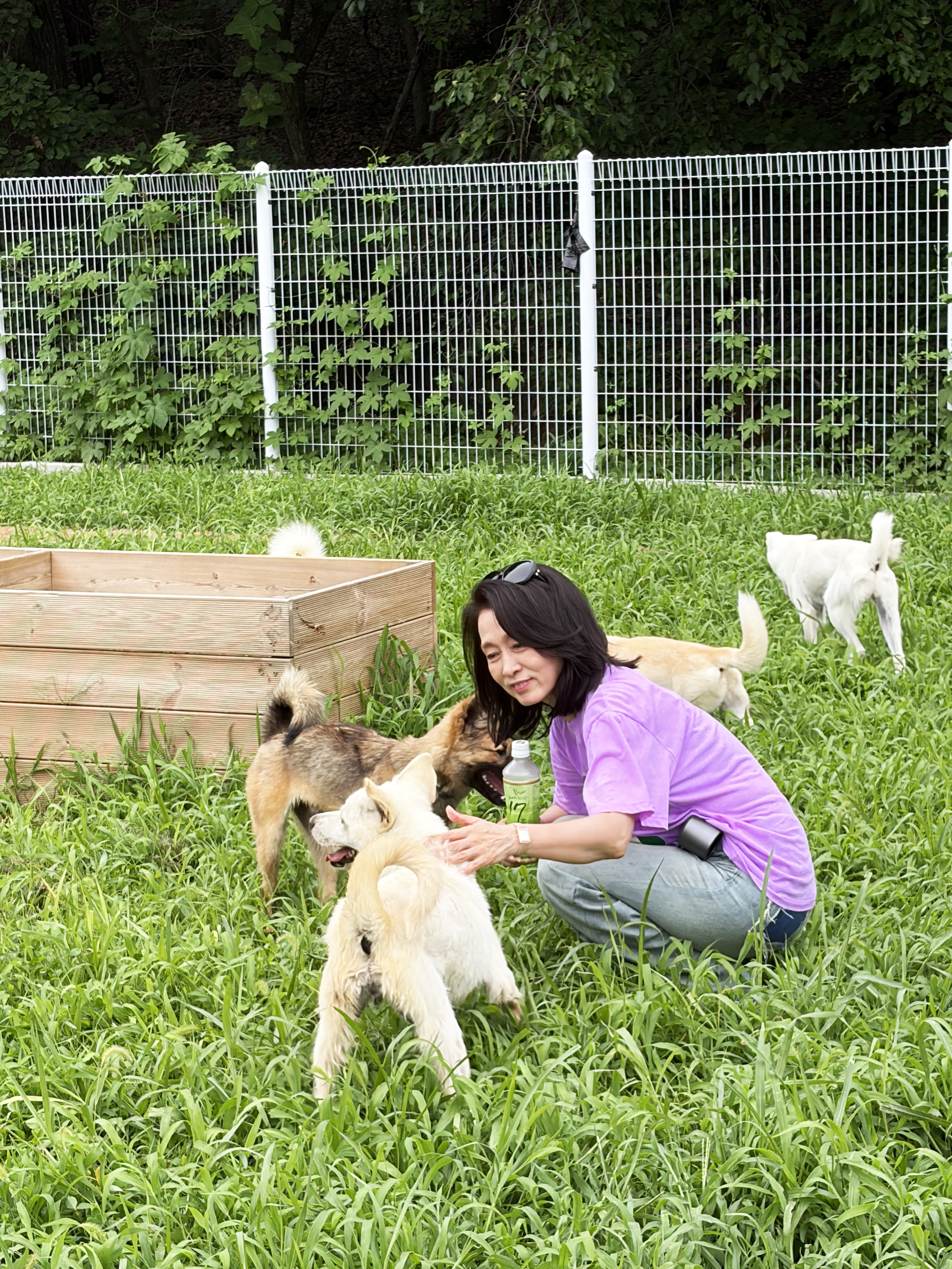 배우 문희경이 유기견 보호소 '견생역전'에서 보호 중인 반려견들과 교감하며 봉사활동을 하고 있다. 사진=아카나 제공