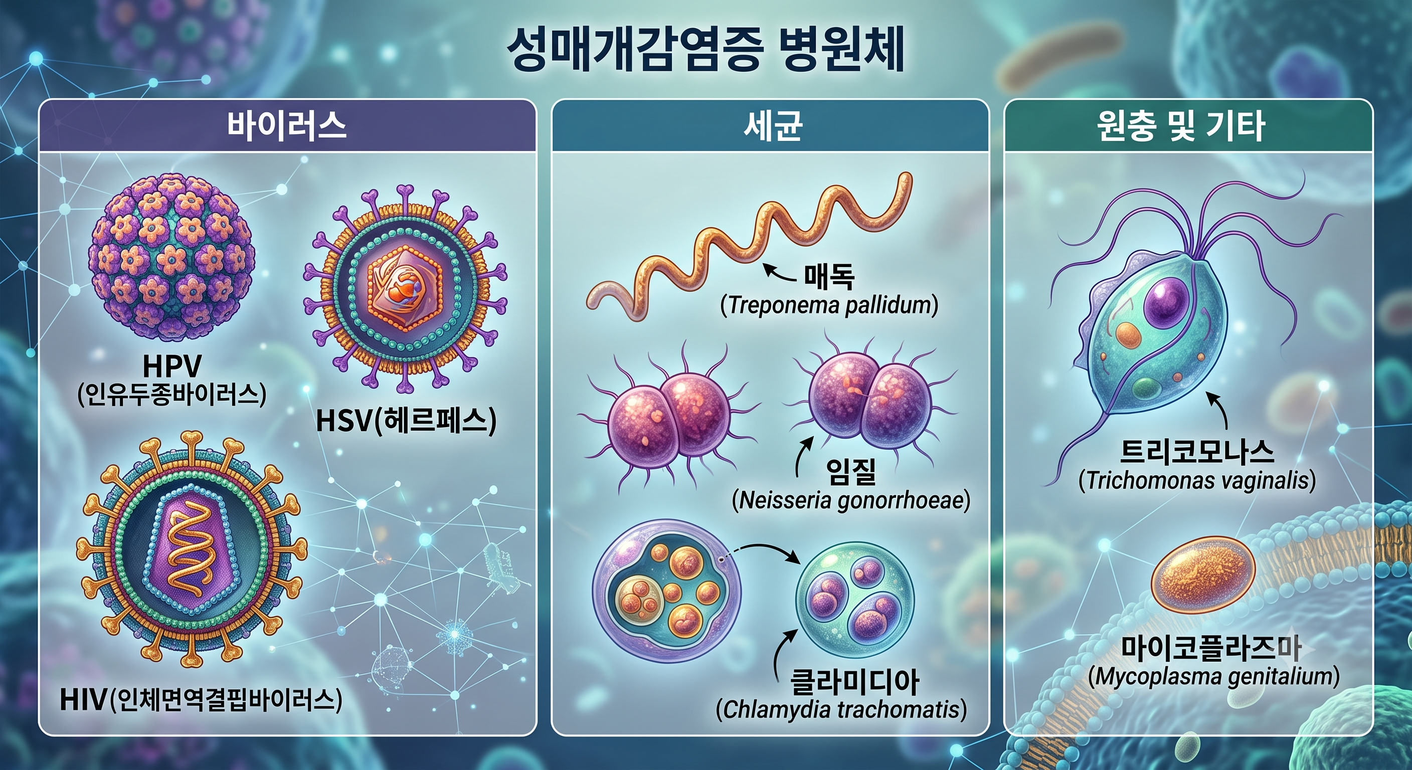 매독 등 성병 하루에 100만건…진단키트 30조로 커진다