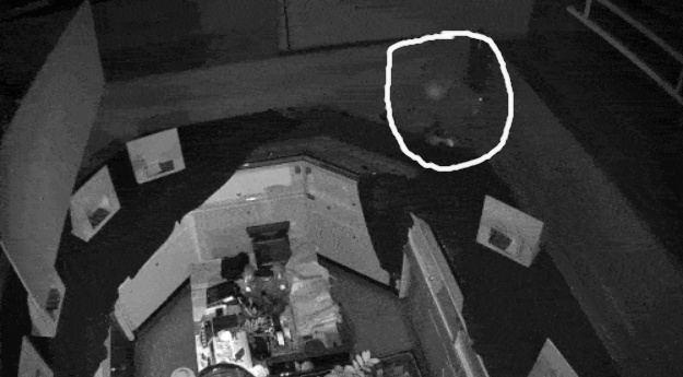 범행 CCTV. 사진=인천경찰청