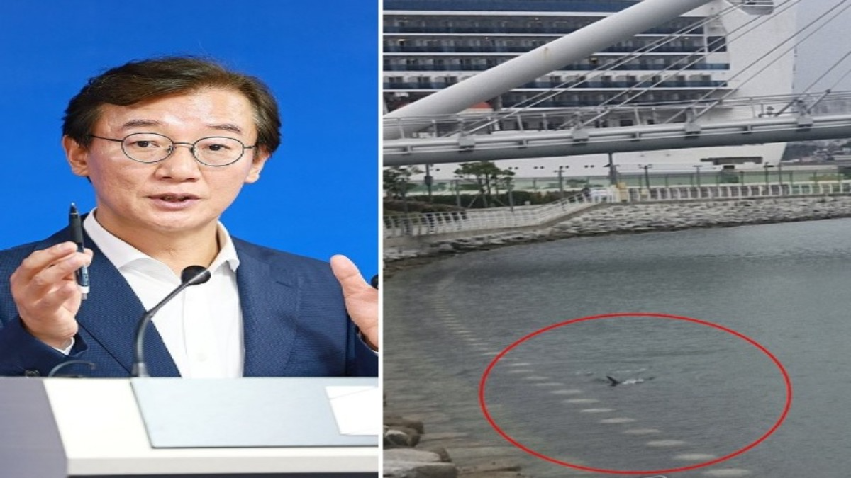 전재수 부산시장. 사진 오른쪽은 부산 북항 친수공원 해변에서 상어가 헤엄치고 있는 모습. 사진=부산시, 부산해양경찰청