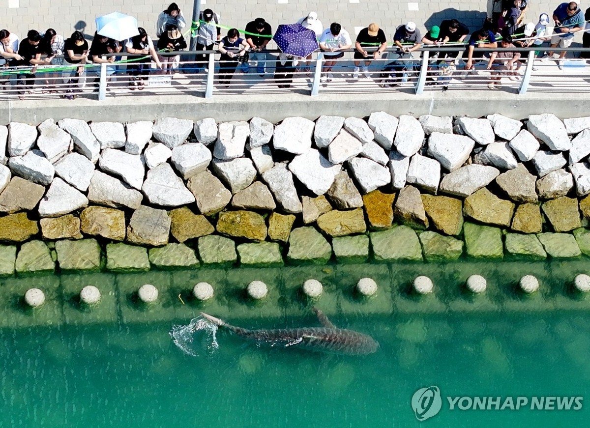 사진=연합뉴스