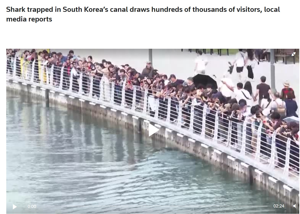 로이터 통신의 영상 보도 자료. 사진=로이터 홈페이지
