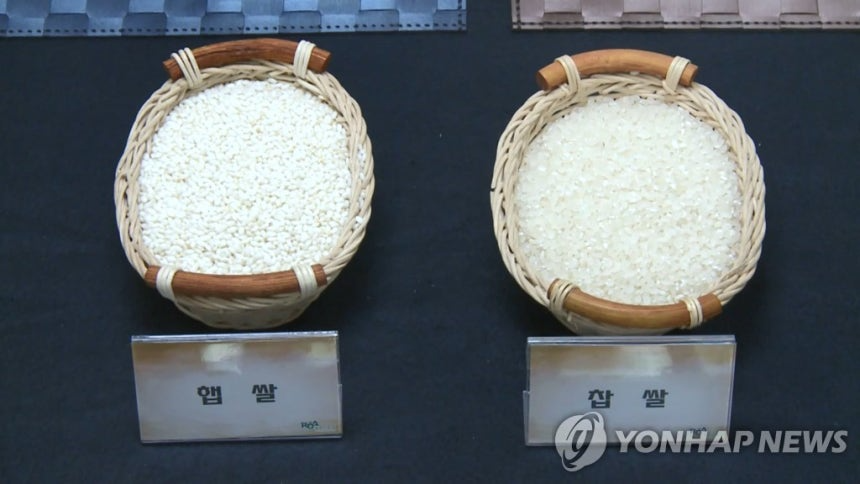 사진 =연합뉴스/기사와 직접 관련 없음