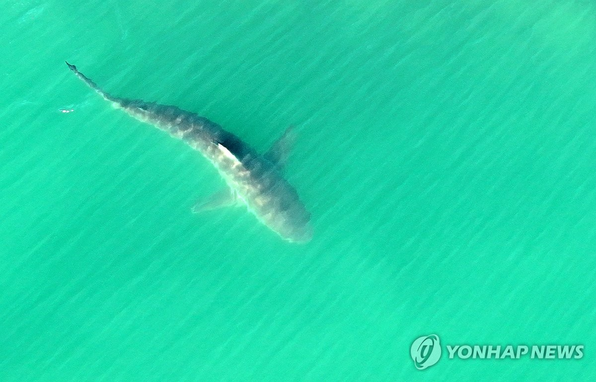 사진=연합뉴스
