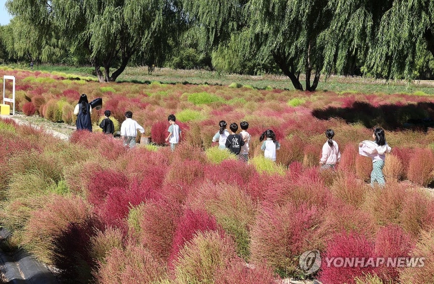 사진=연합뉴스