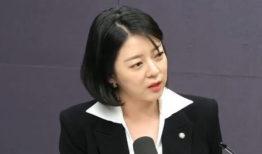 사진=배현진 의원 SNS 캡처