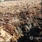 지진,포항,액상,현상,조사