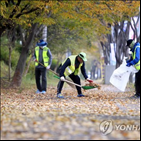 낙엽,농가,퇴비,사업,수거,제천시