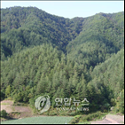 경북,청소년,도시계획위원회,산림생태체험센터