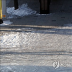 평년,체감온도,서울,저기압