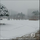 영하,충남,대설주의보