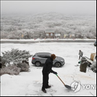 산지,오전,한라산,제주도