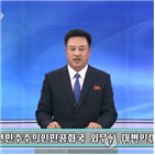 북한,교수,분석,군사,기사,리치