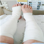 주민,견주,입건