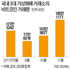 가상화폐,규제,시장,정부,거래,블록체인,보호,기축통화,달러,마련