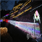 보성,녹차밭,빛축제,올해,한국