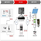 평창,빌리지,마을,세계,카페,야지마을,구축,야지마