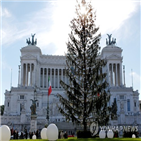 로마,크리스마스,트리,나무,당국,이탈리아,설치,시민