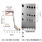 한천올리고당,효소,한천,개발,제조,효능