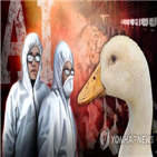 의심증상,발견,즉각