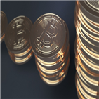 투자,가장,직장인,가상화폐